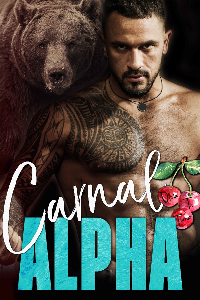 The Alpha's Obsession book cover 1