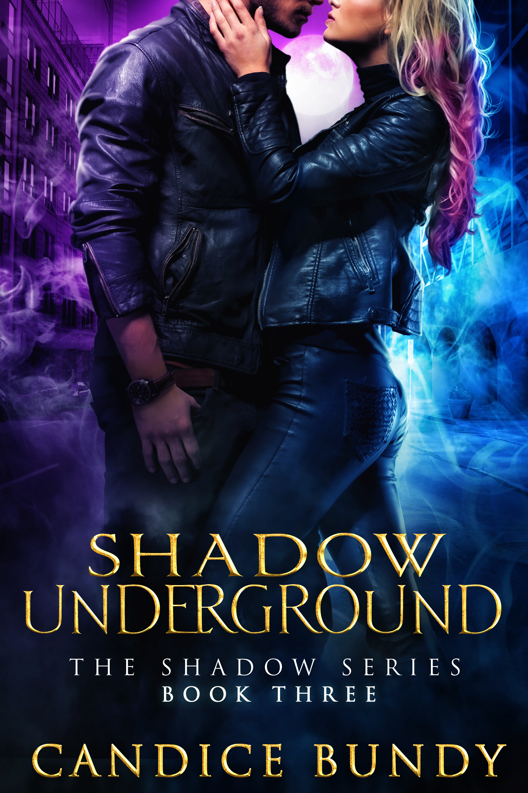 The Shadow Series book cover 3