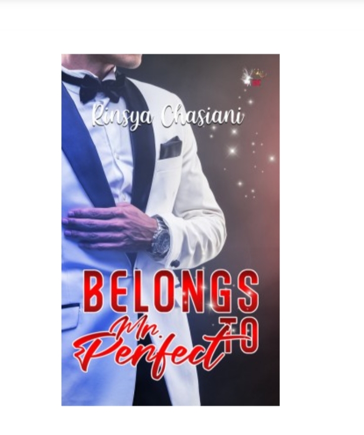 Belongs to Mr Perfect book cover