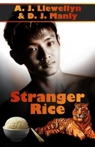 Stranger Rice book cover