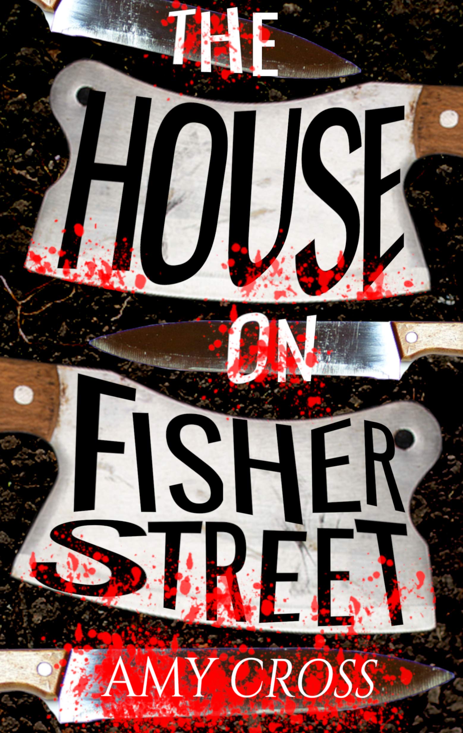 The House on Fisher Street book cover