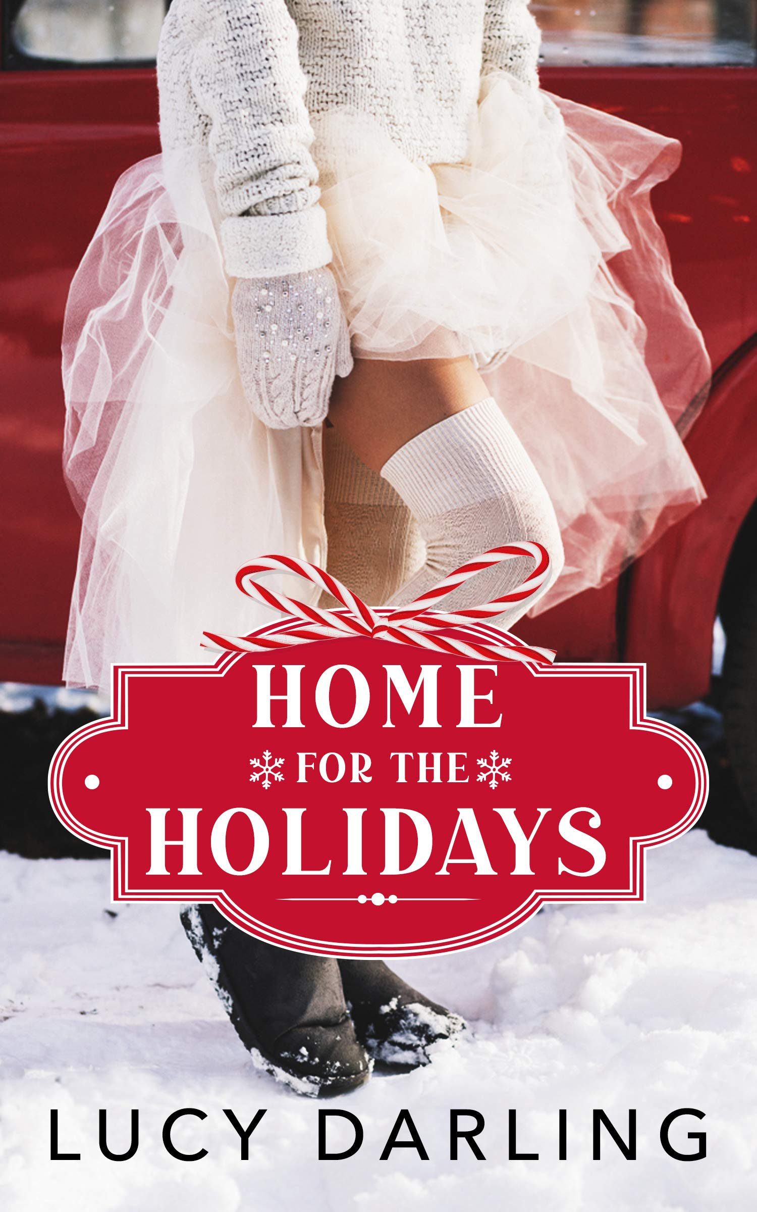 Home for the Holidays book cover