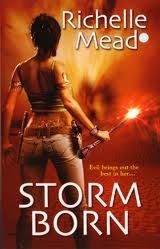 Dark Swan book cover 1