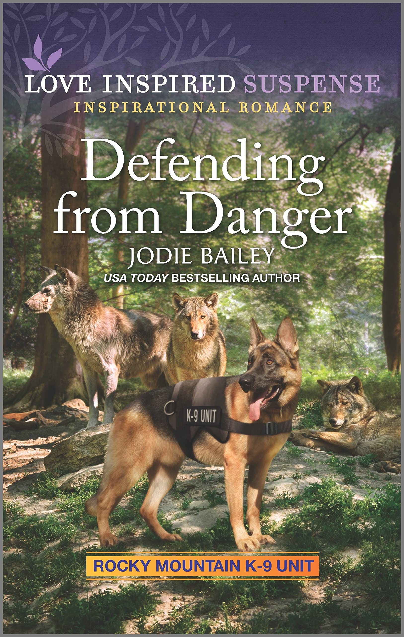 Defending from Danger book cover