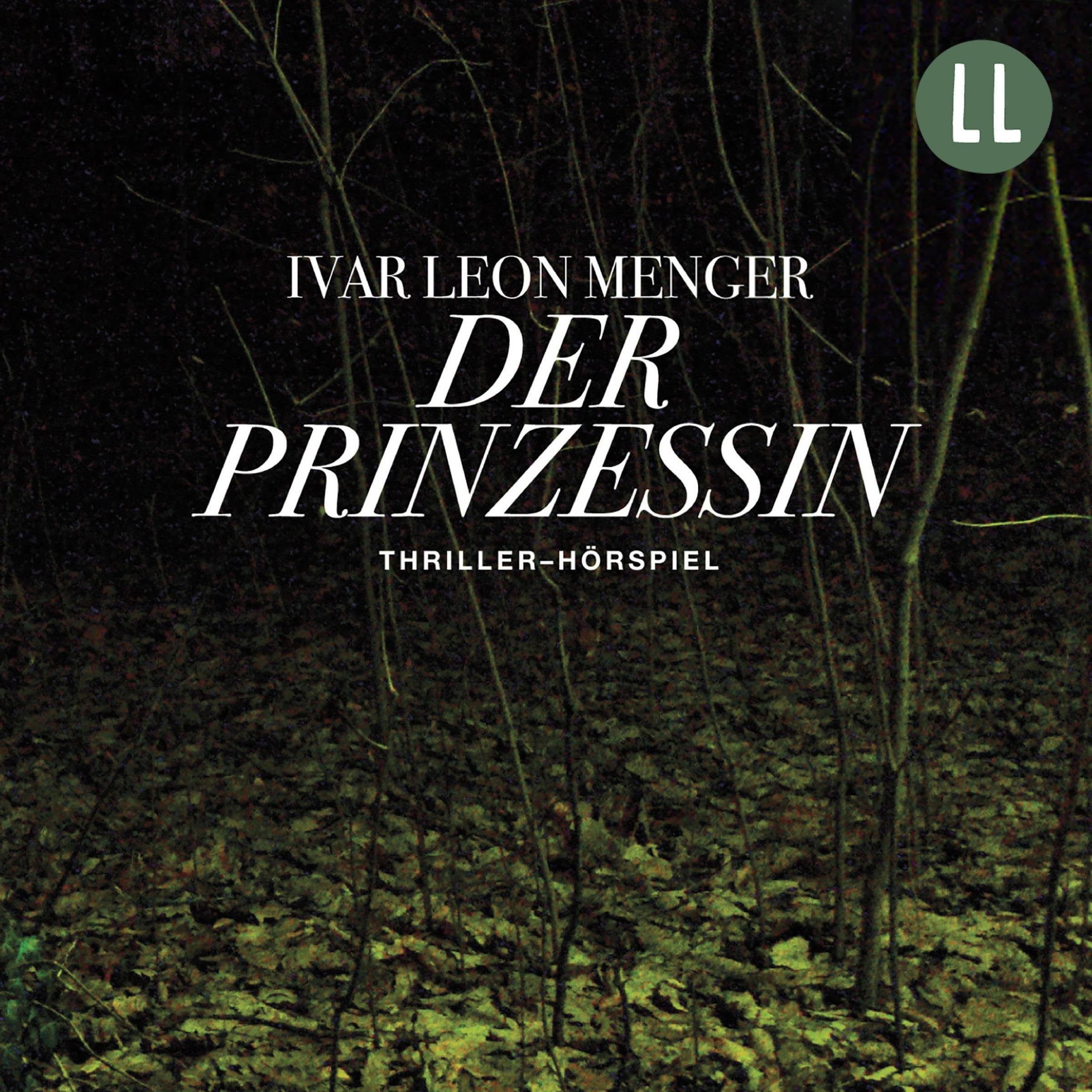 Der Prinzessin book cover