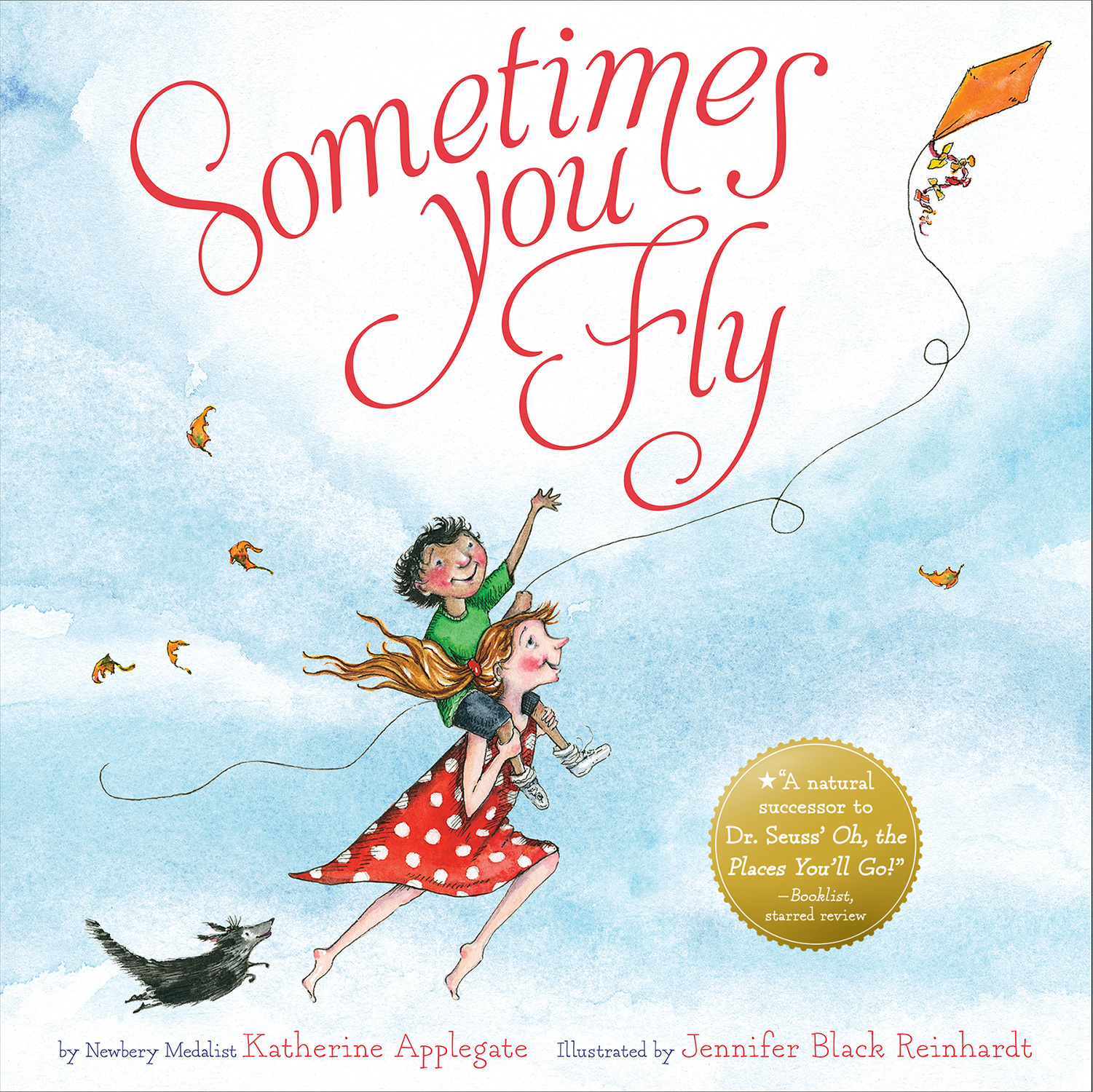 Sometimes You Fly book cover
