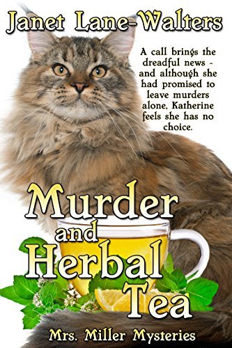 Katherine Miller Mystery book cover 3