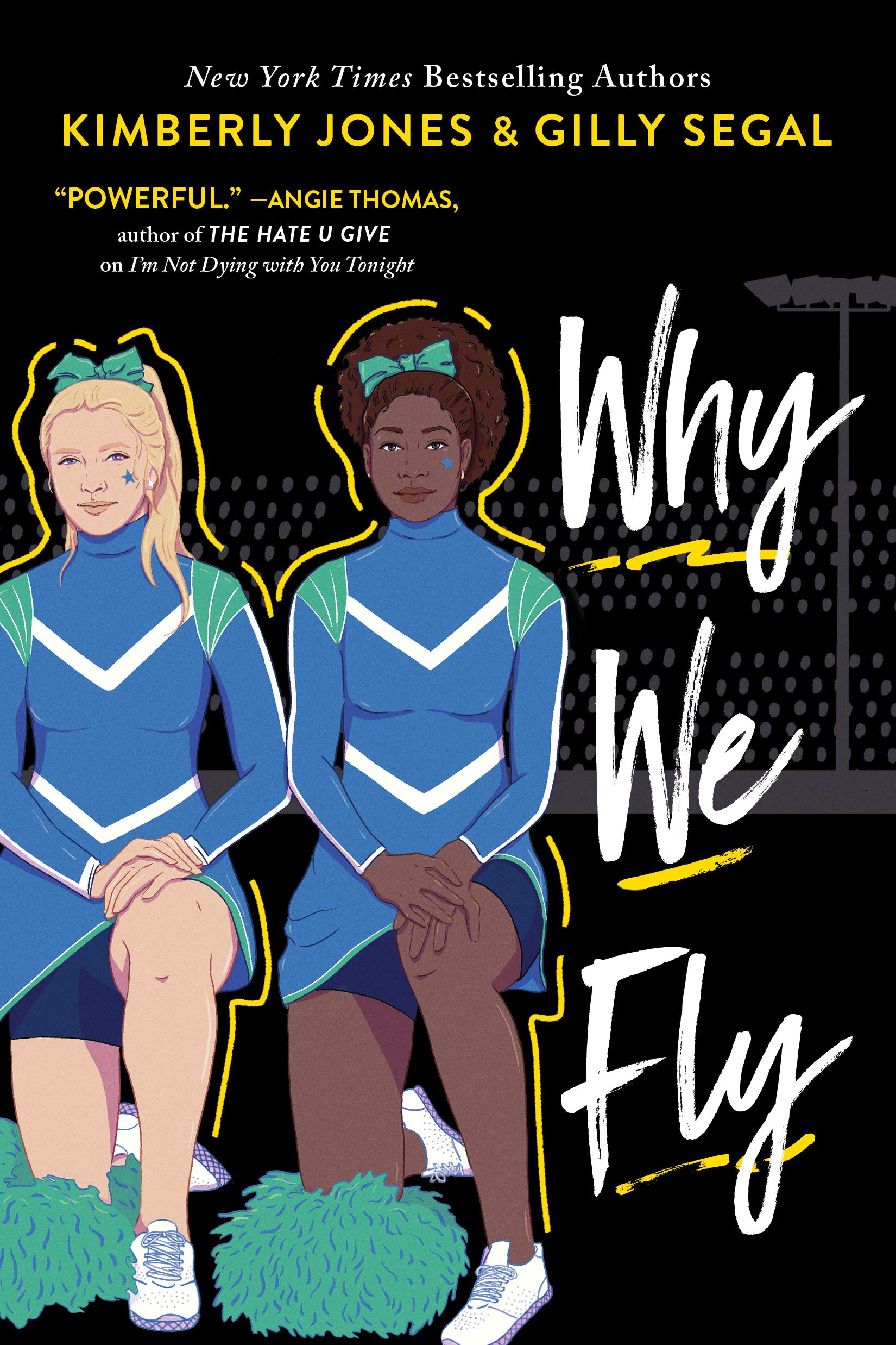 Why We Fly book cover