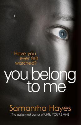 DI Lorraine Fisher book cover 3