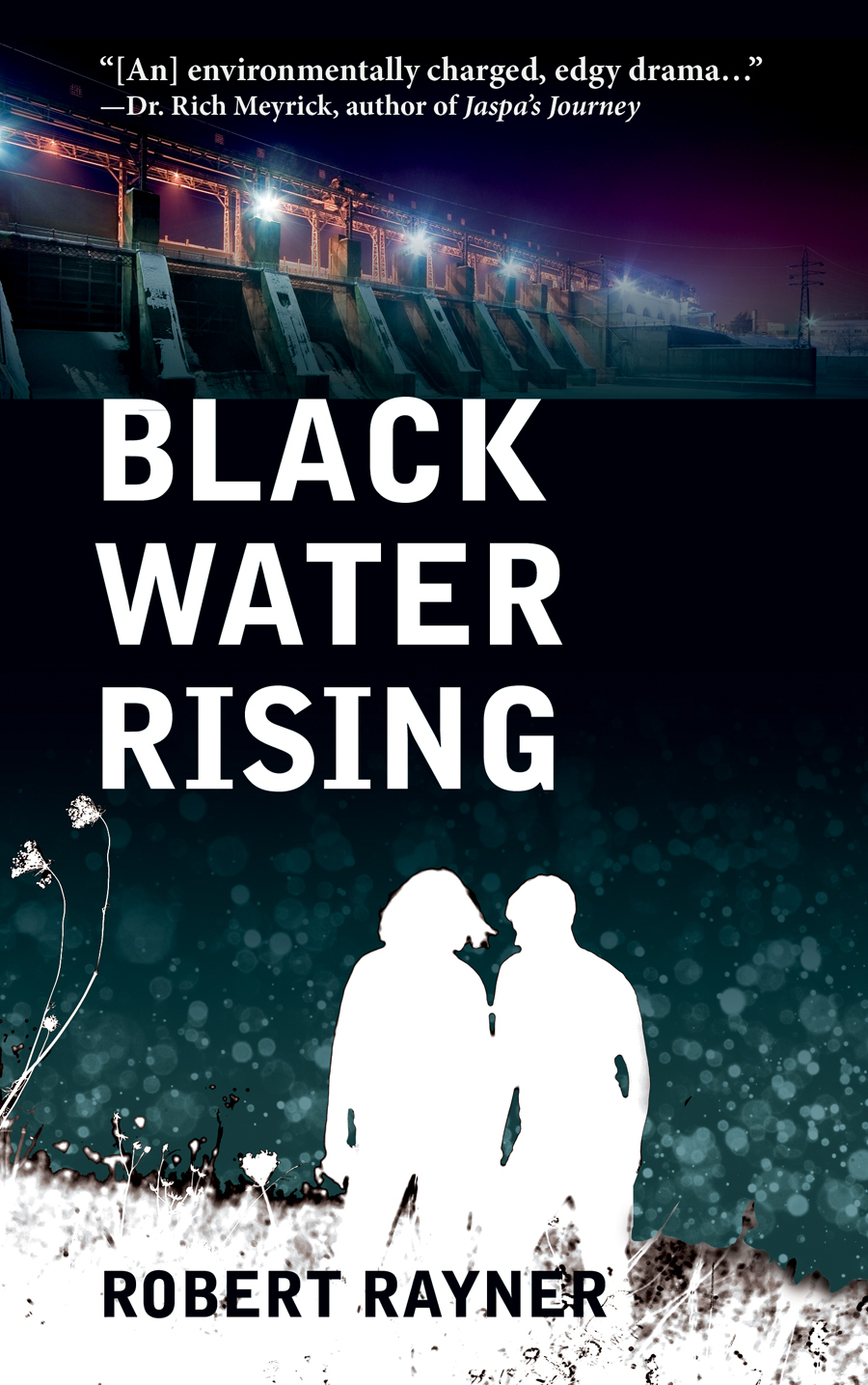 Black Water Rising book cover