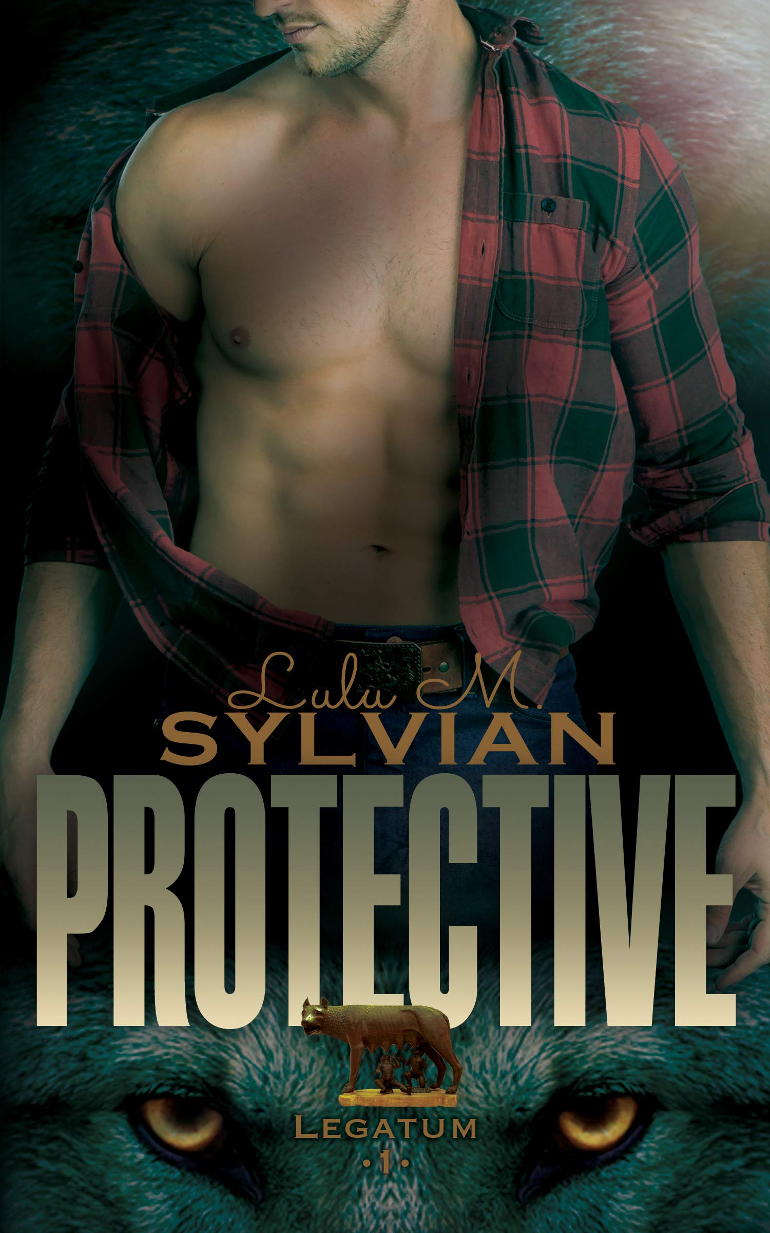 Protective book cover