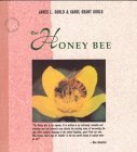 The Honey Bee book cover
