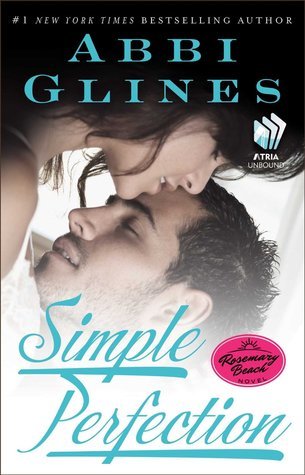 Perfection book cover 2