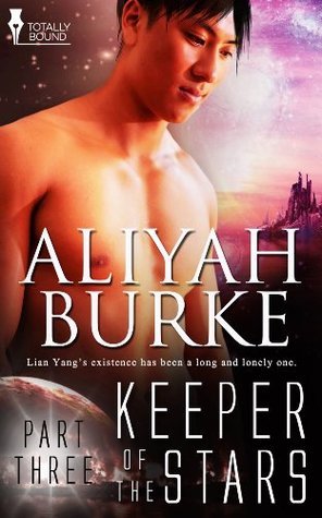 Keeper of the Stars book cover