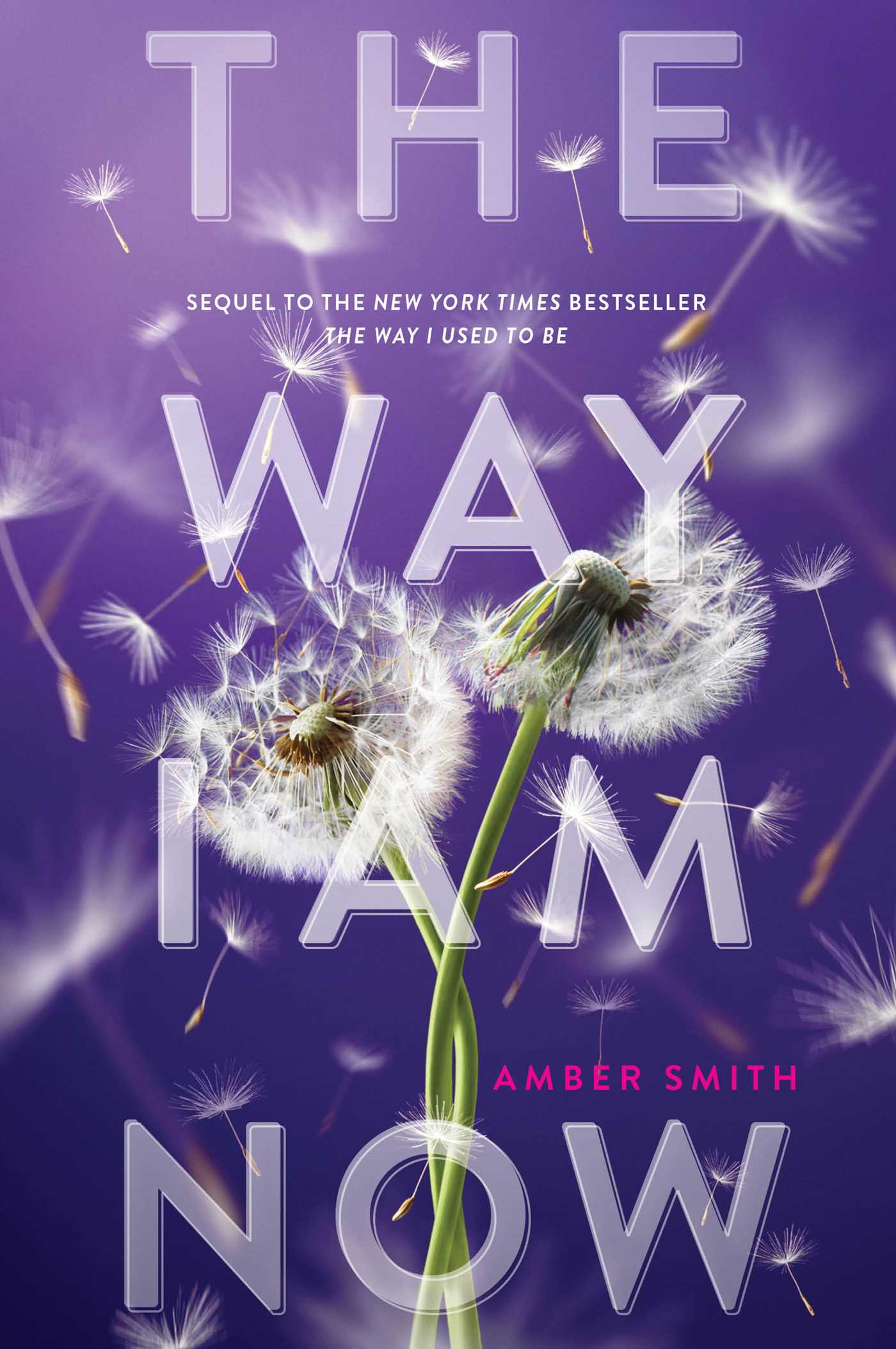 The Way I Am Now book cover