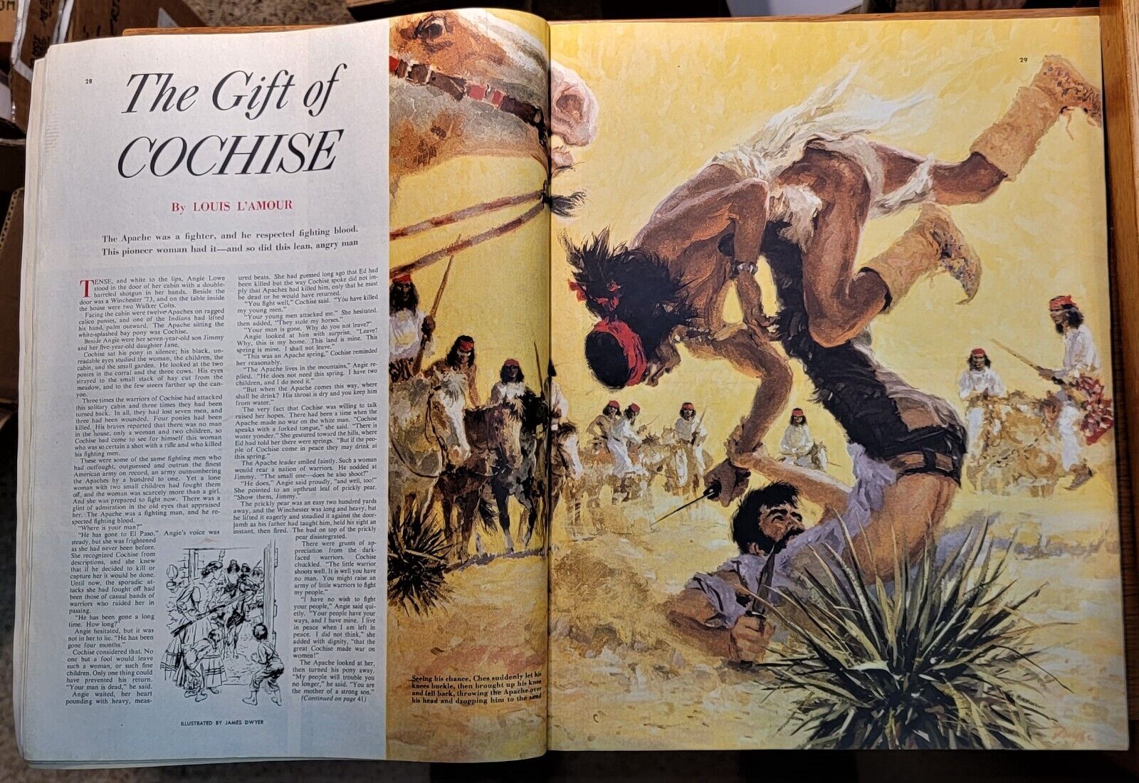The Gift of Cochise book cover