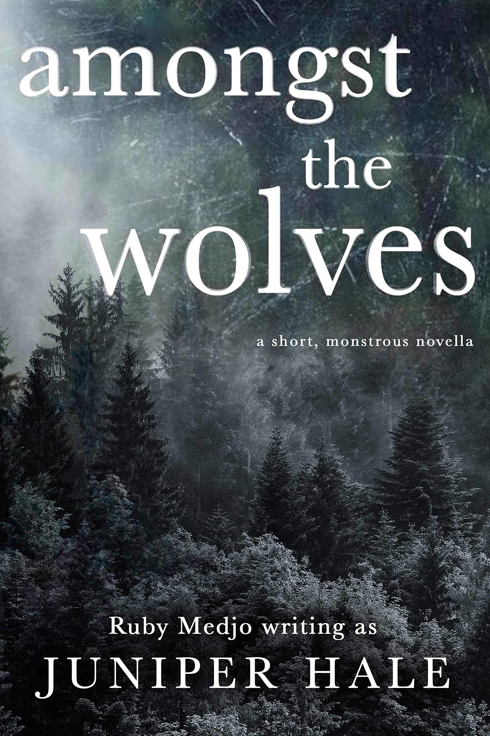 Amongst the Wolves book cover