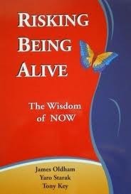 Risking Being Alive book cover