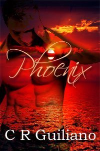 Phoenix book cover