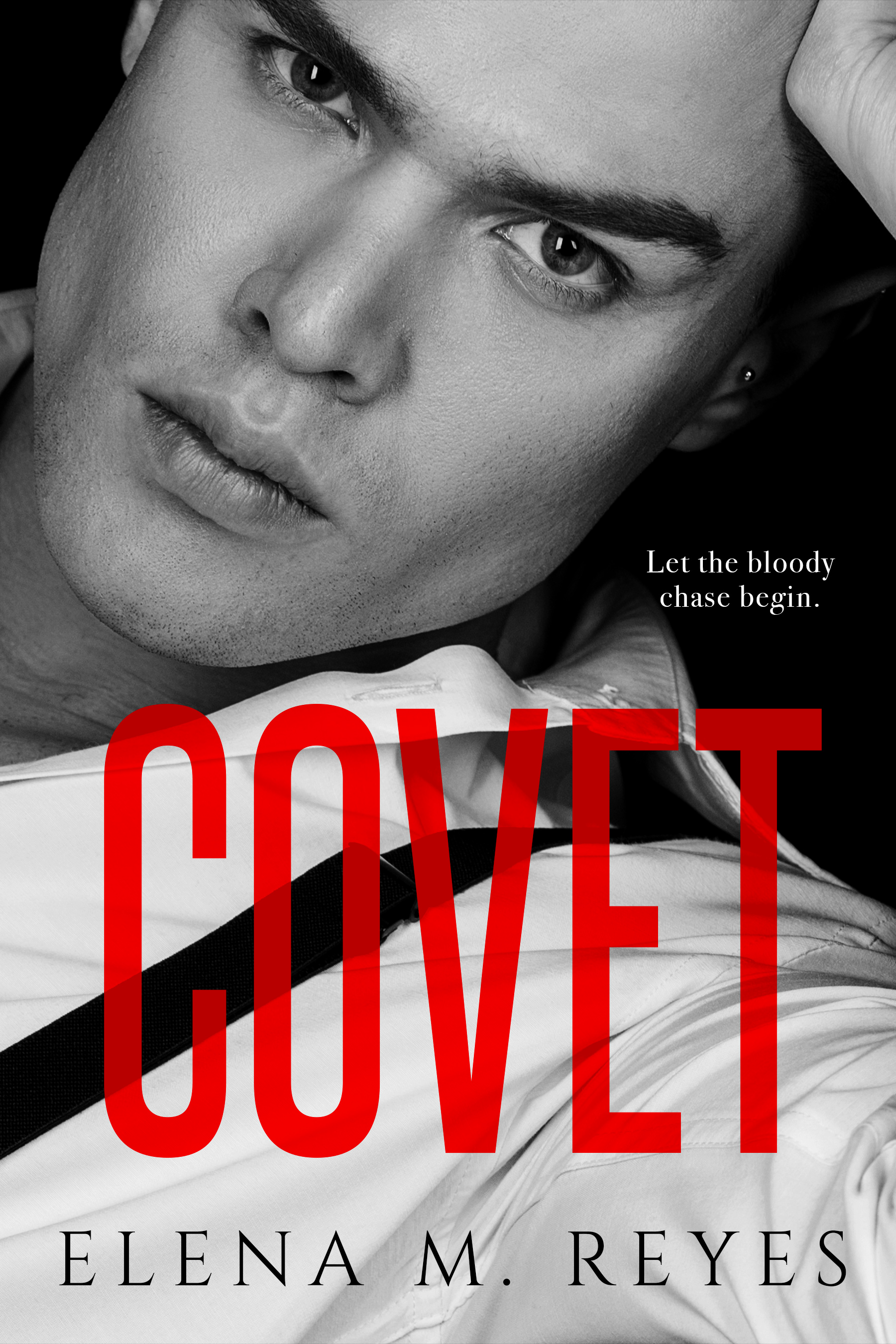 Beautiful Sinner book cover 2