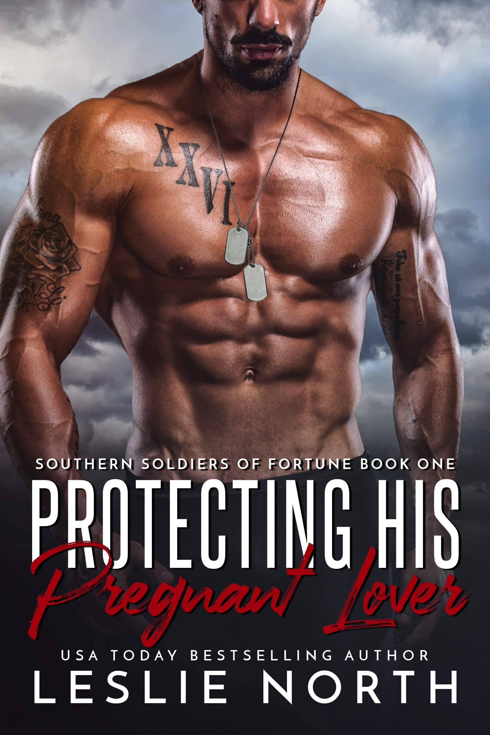 Southern Soldiers of Fortune book cover 1