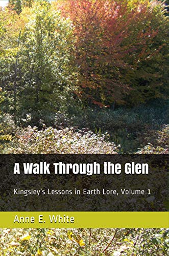 A Walk Through the Glen book cover
