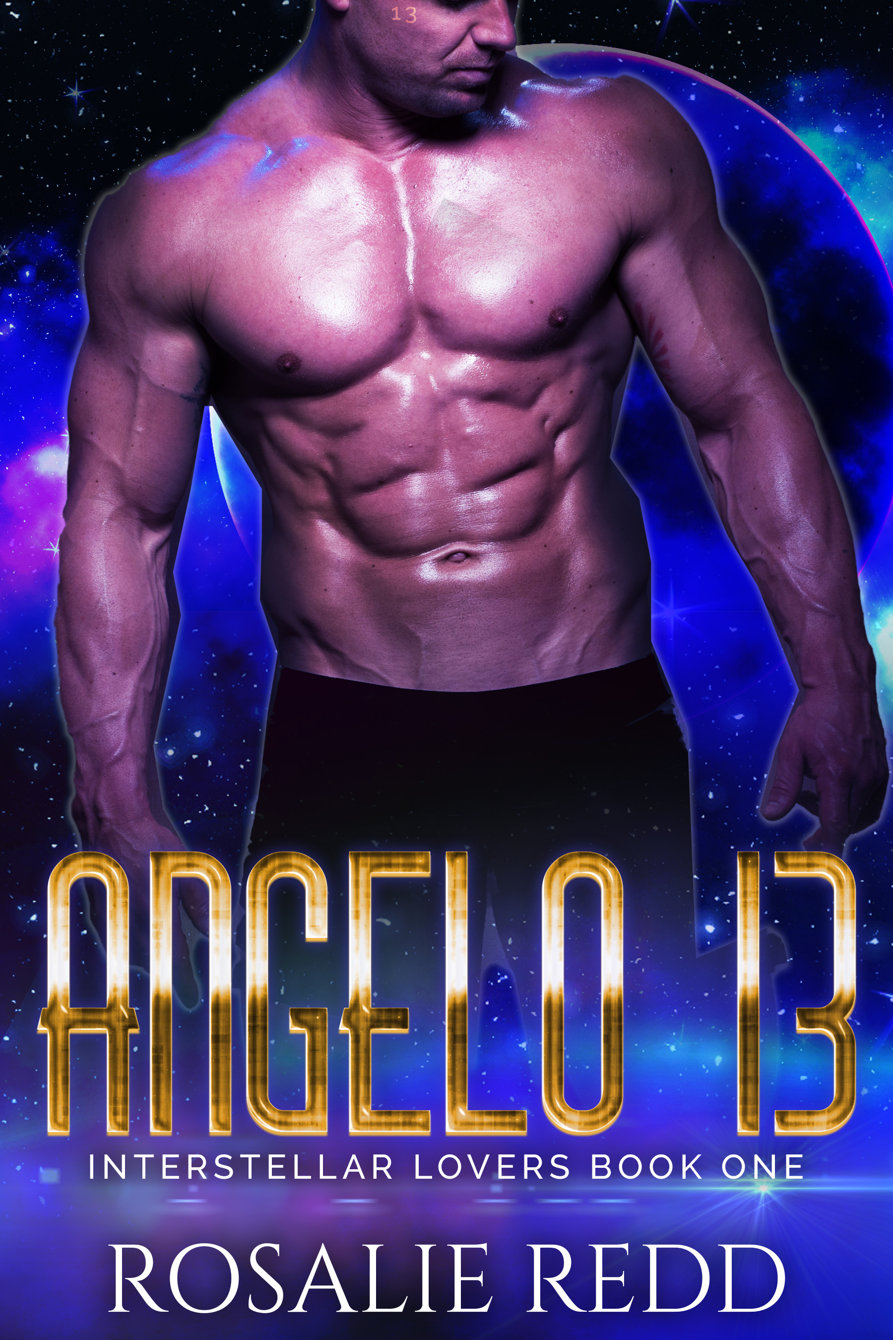Interstellar Lovers book cover 1