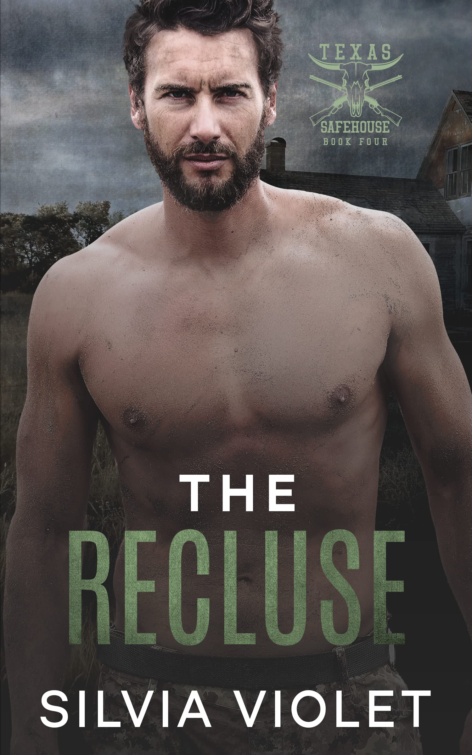 The Recluse book cover