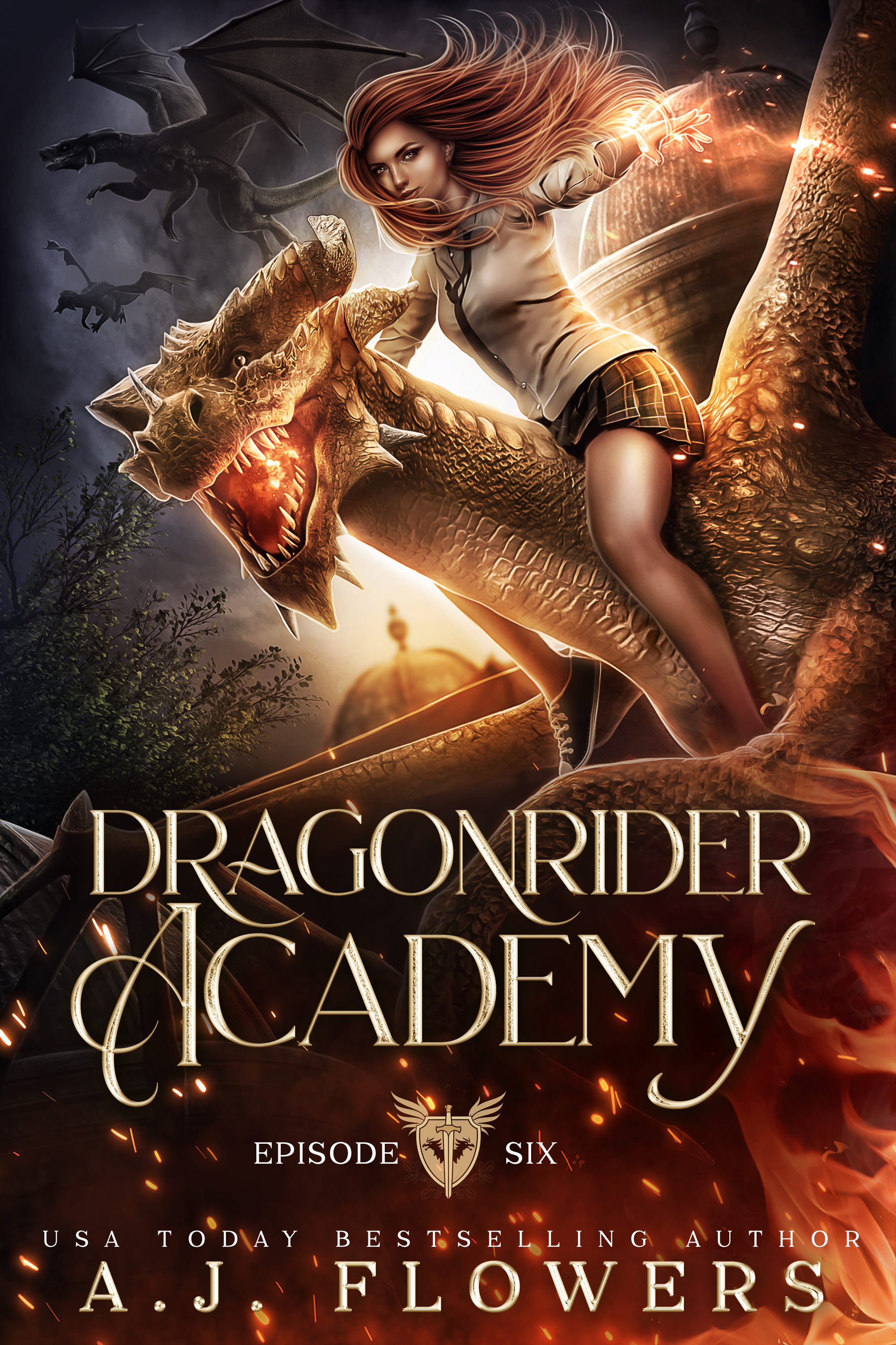 Dragonrider Academy book cover