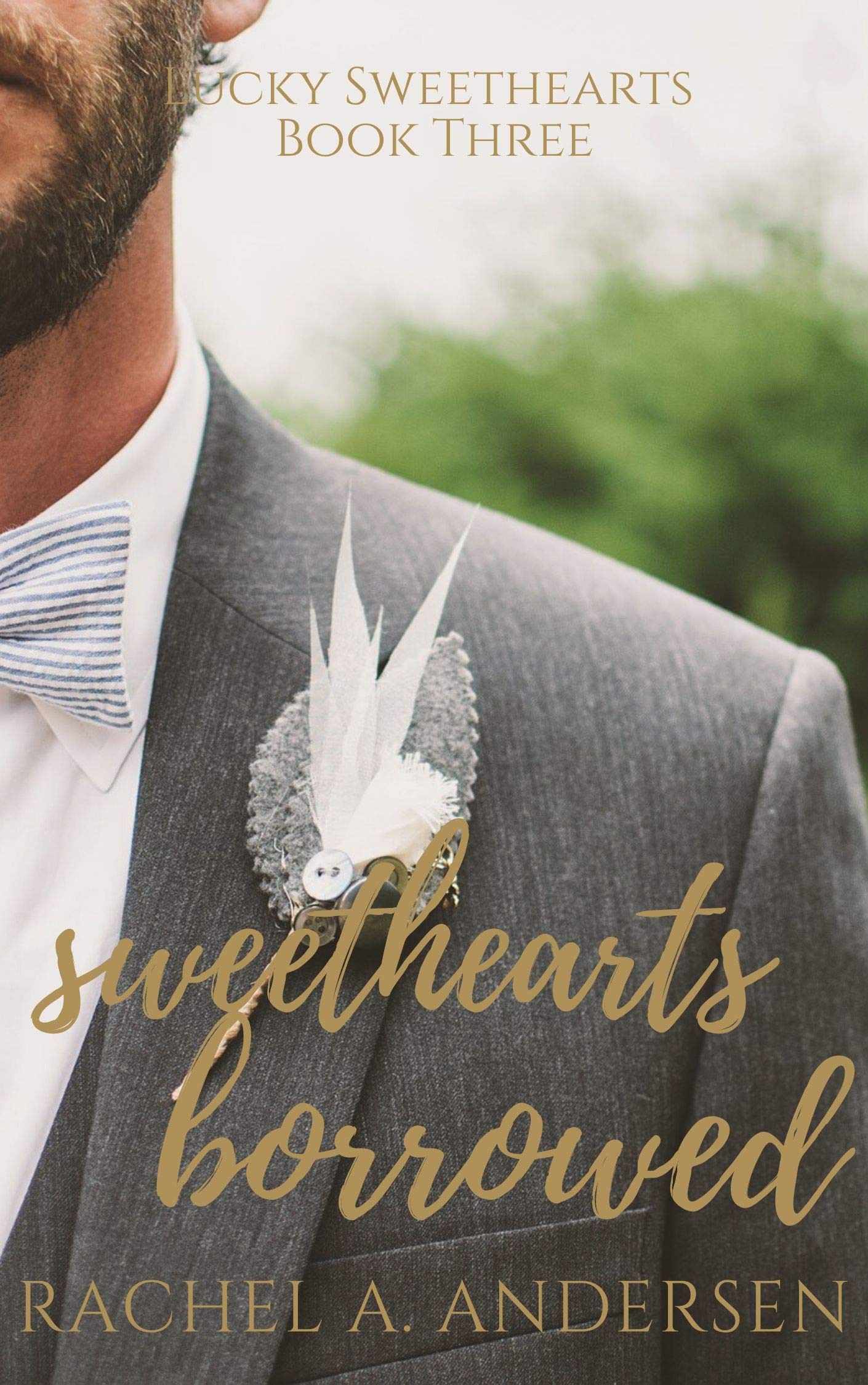 Sweethearts Borrowed book cover