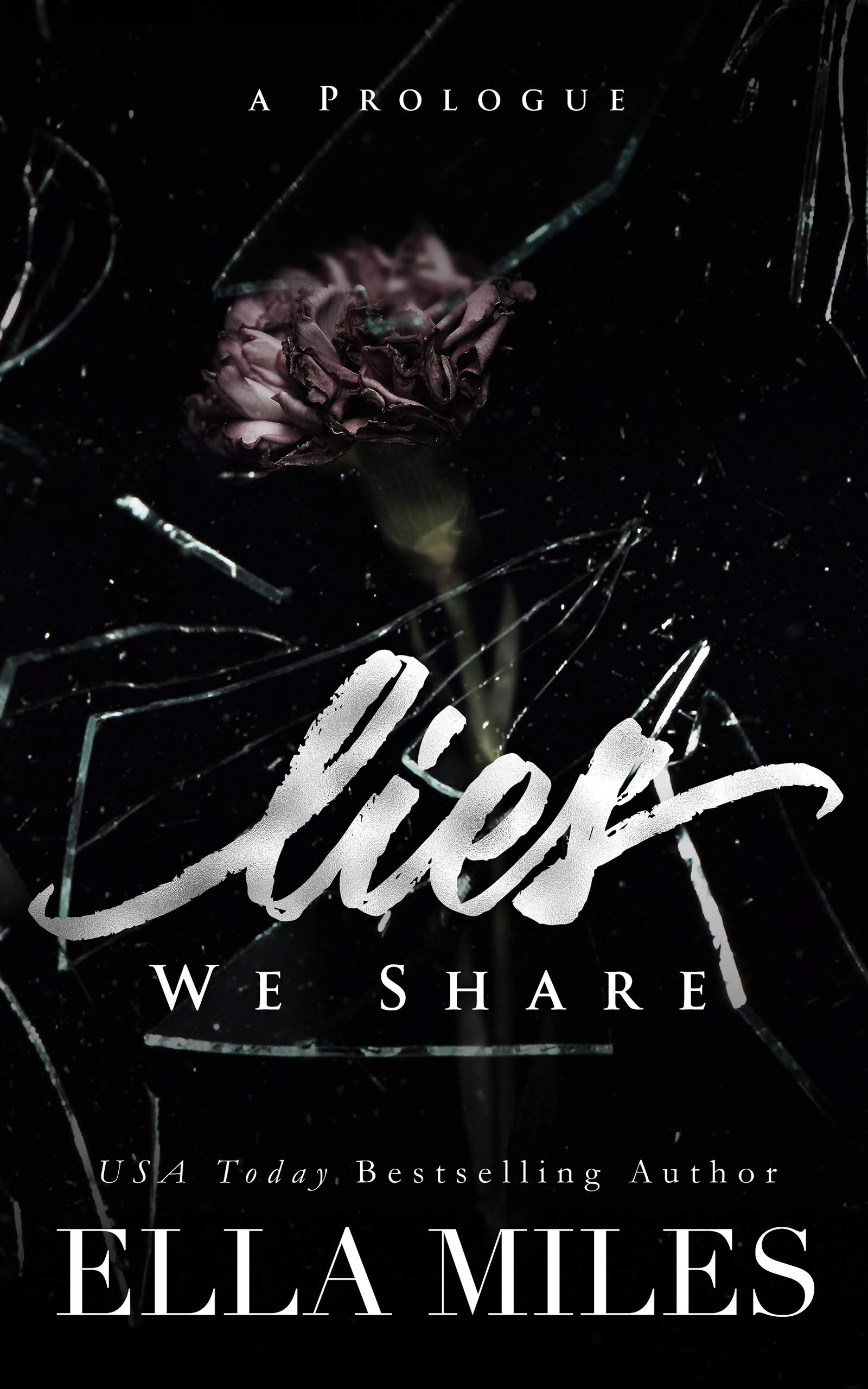 Lies We Share book cover