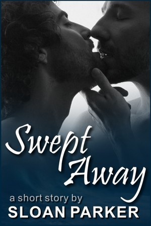 Swept Away book cover