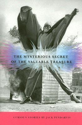 The Mysterious Secret of the Valuable Treasure book cover