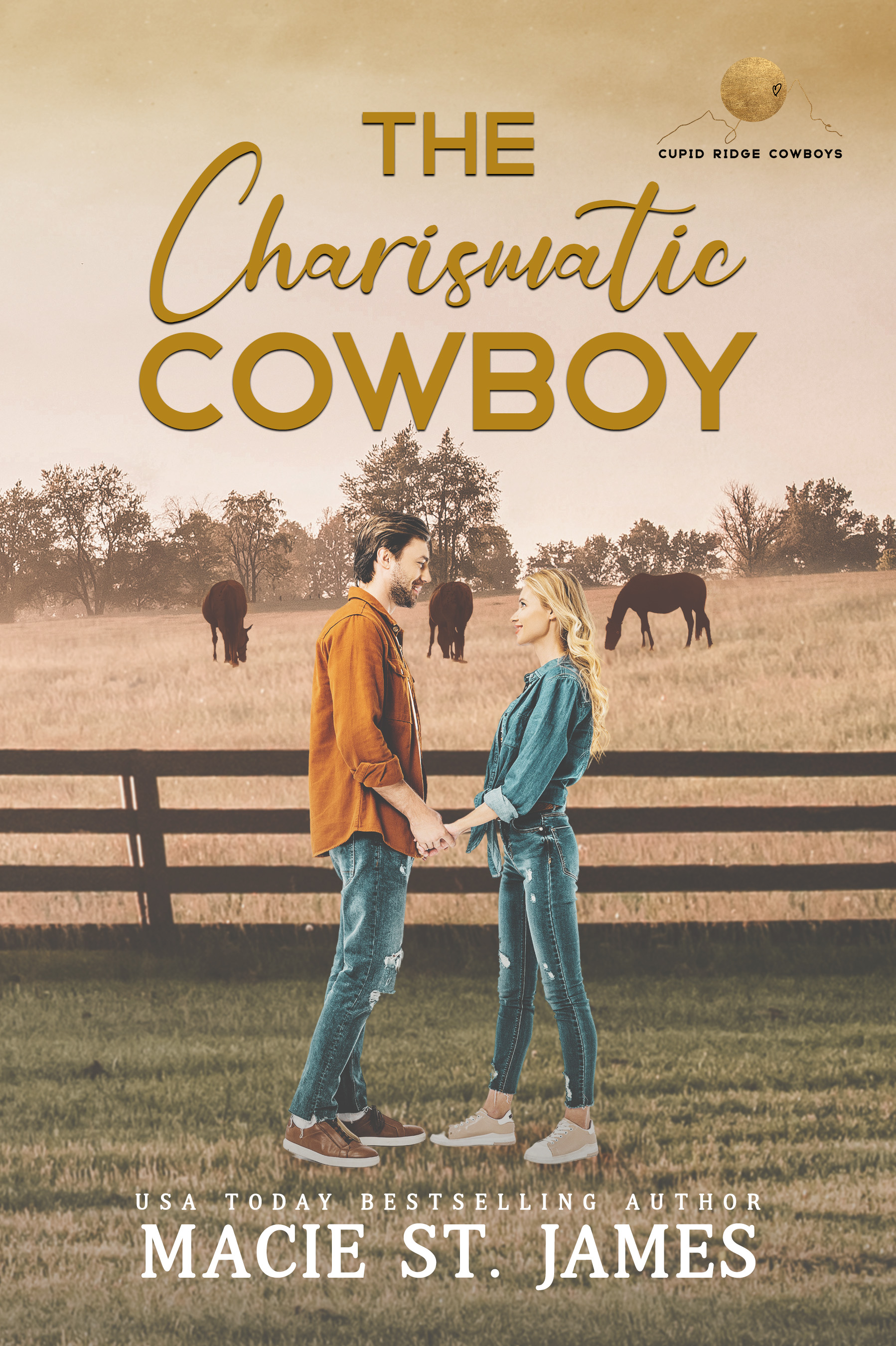 The Charismatic Cowboy book cover
