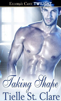 Taking Shape book cover