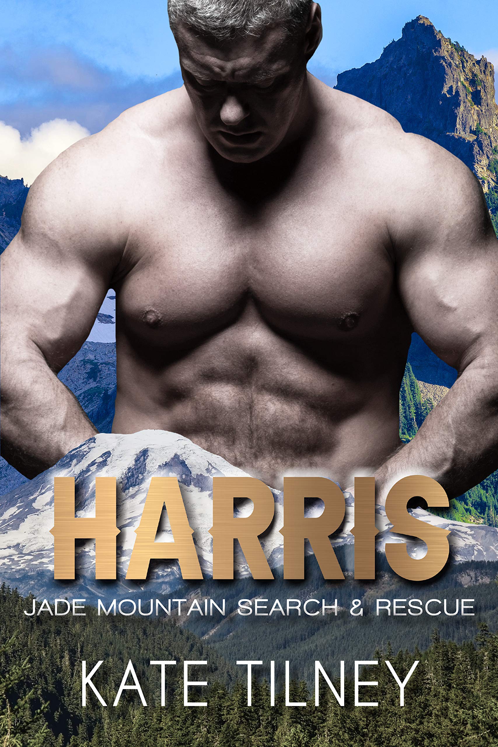 Harris book cover