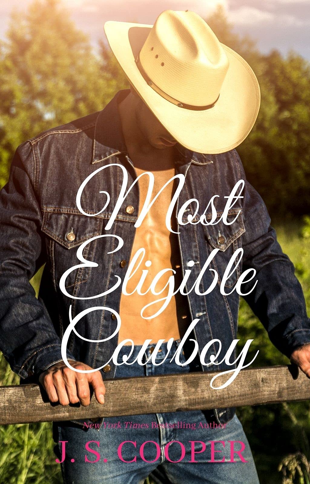 The Brother's at Horseshoe Ranch book cover 2