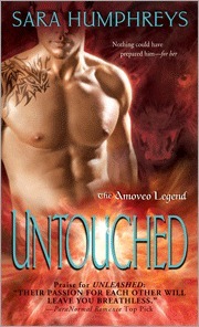 The Amoveo Legend book cover 2