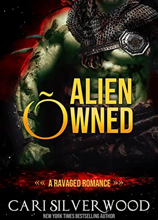 Ravaged book cover 2