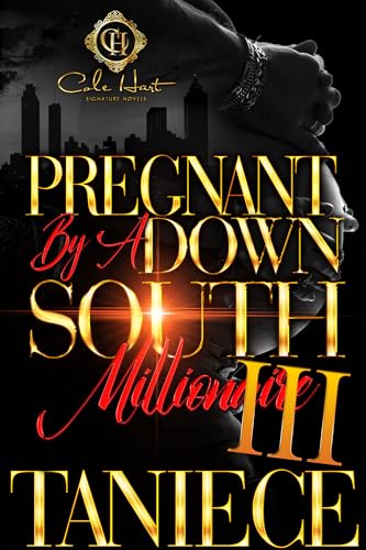 Pregnant By A Down South Millionaire 3 book cover