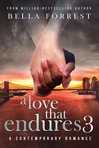 A Love that Endures 3 book cover