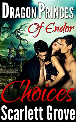 Dragon Princes of Endor book cover 3