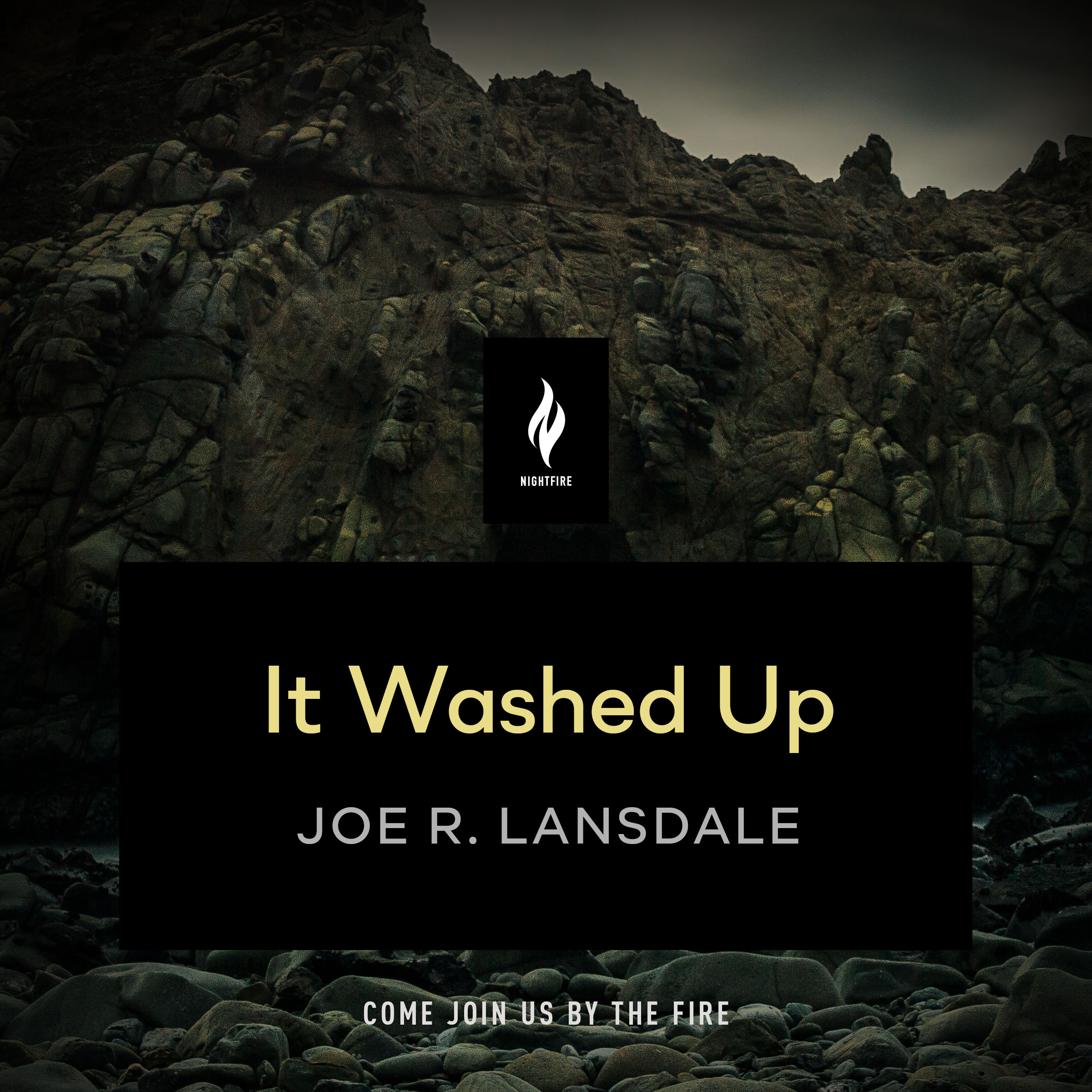 It Washed Up book cover