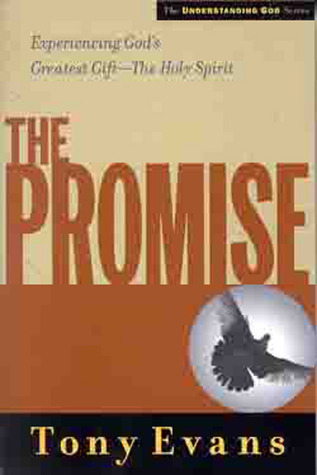 The Promise book cover