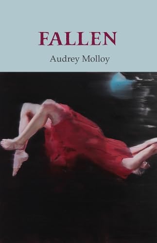 Fallen book cover