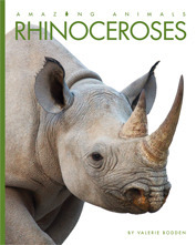 Rhinoceroses book cover