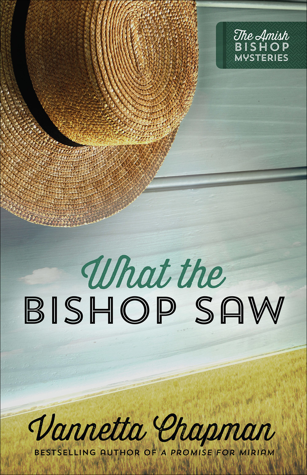 The Amish Bishop Mysteries book cover 1