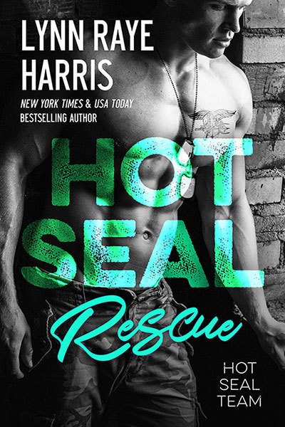 HOT SEAL Team book cover 3