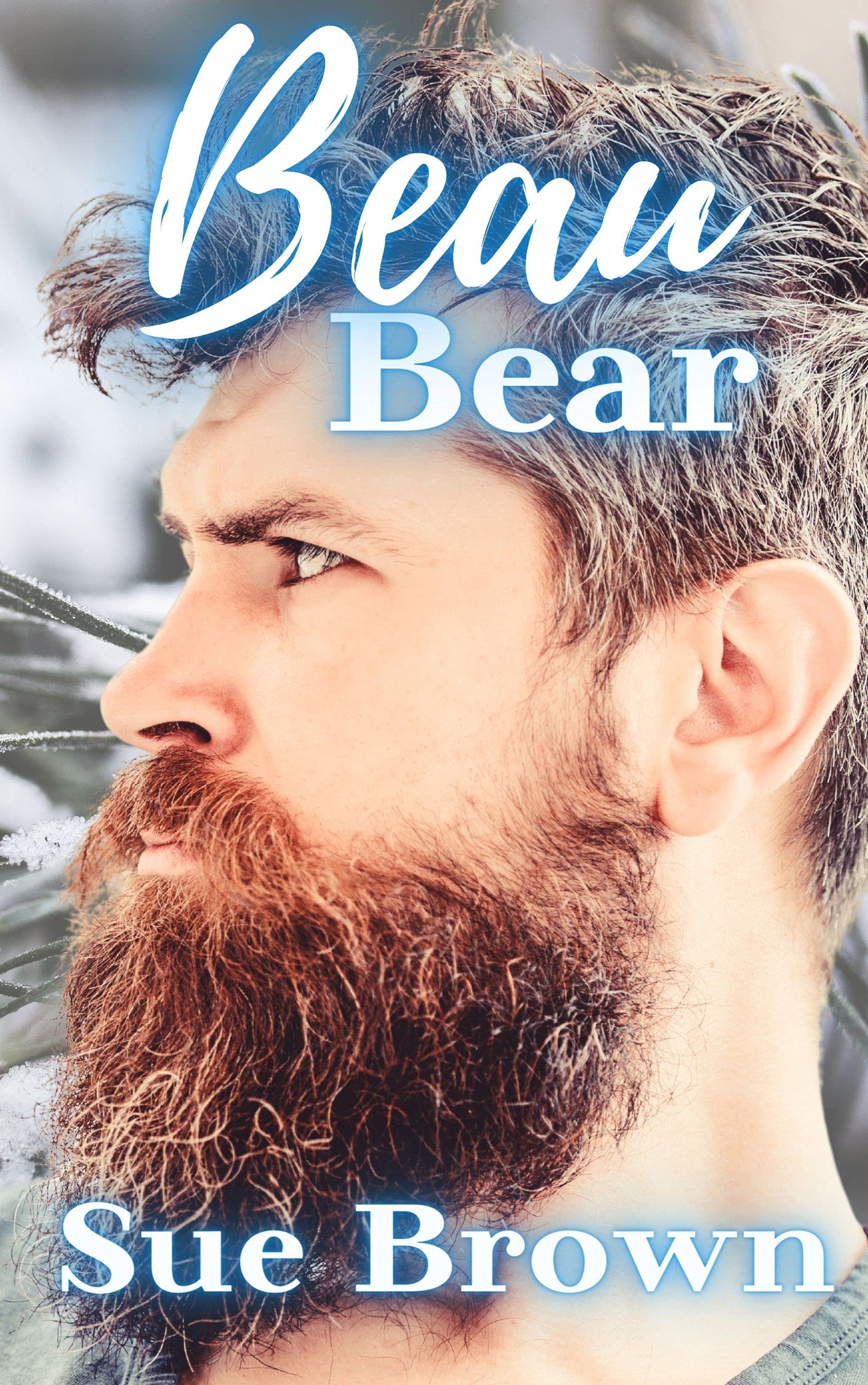Bearytales in the Wood book cover 2