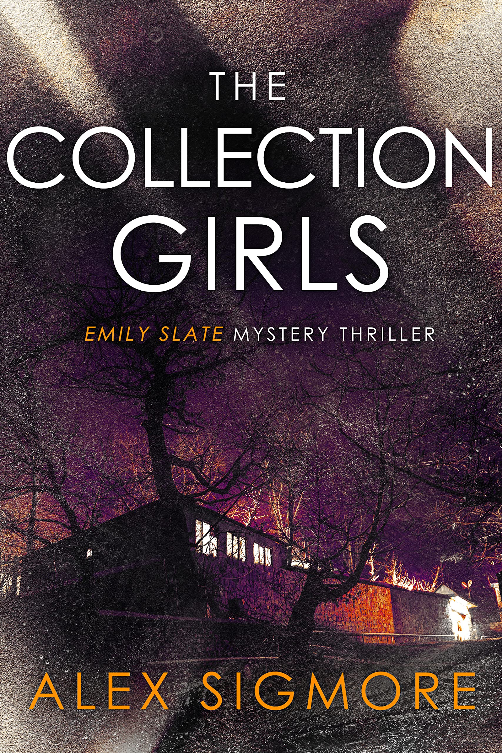 Emily Slate book cover 2